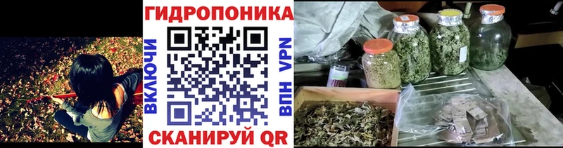 Наркошоп купить Канабис  Меф мяу мяу  А ПВП  Галлюциногенные грибы  ГАШ  Шали