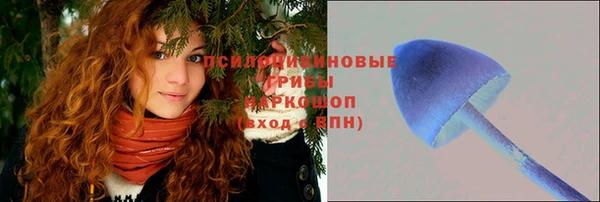 гашик Лиски