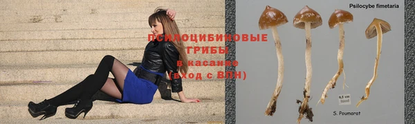 гашик Лиски