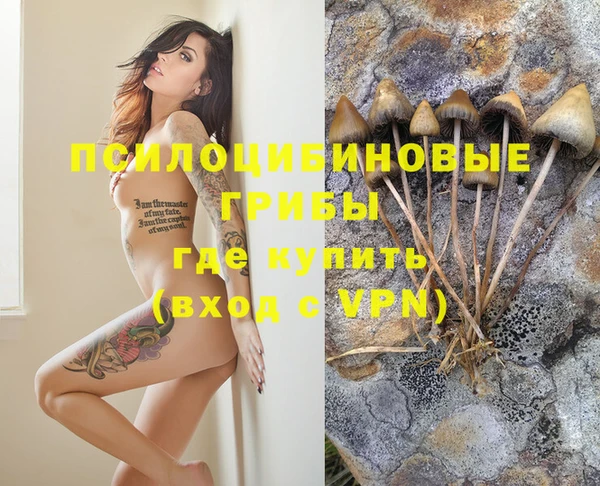 гашик Лиски